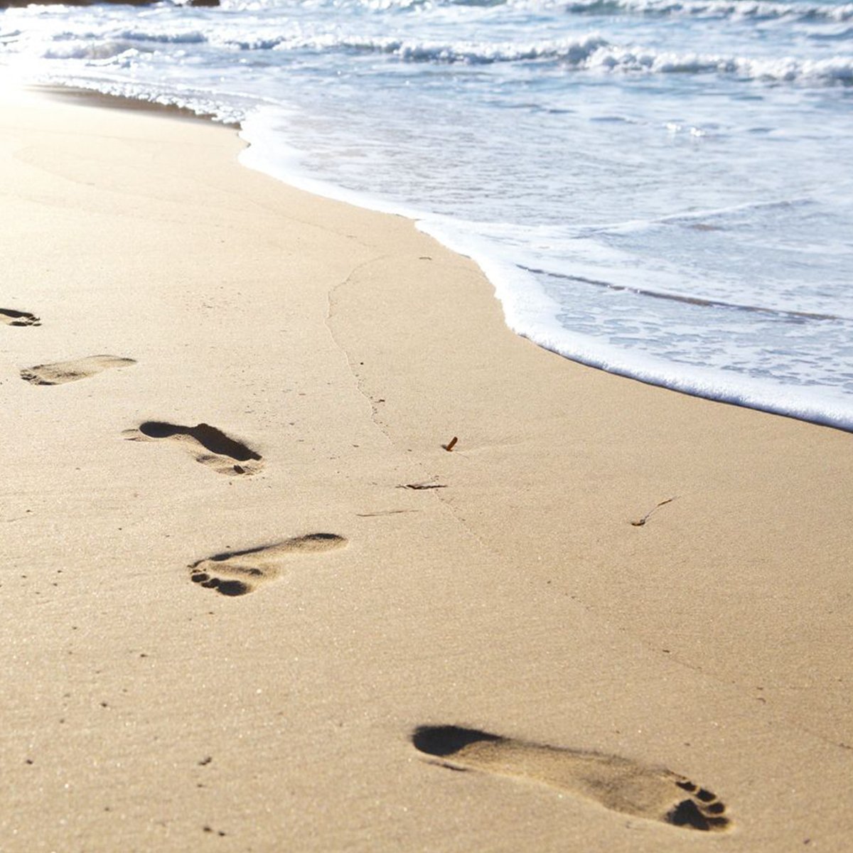 'Replica' Beach Walk